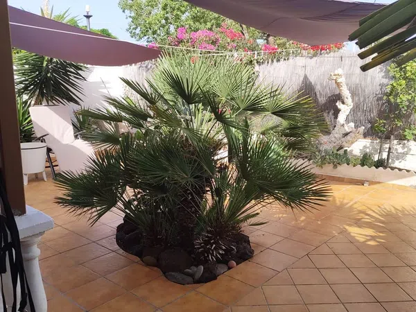 Casa o chalet independiente en Avenida Touroperador Finnmatkat, 10, Maspalomas-Meloneras, Maspalomas-Meloneras - Foto 2