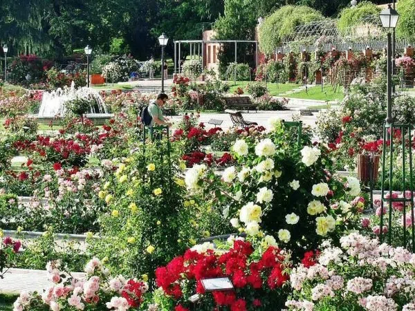 Piso en calle de Arriaza, 12 - Foto 30