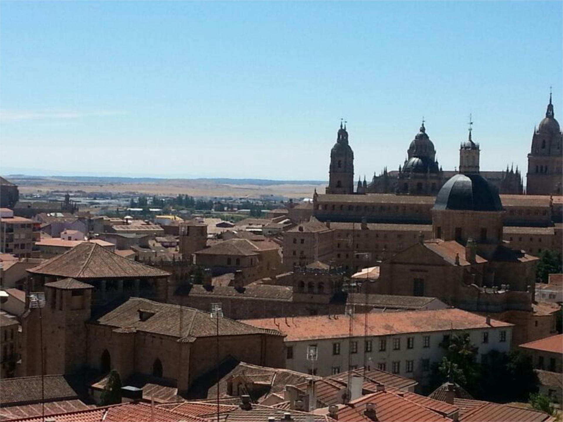 Piso en  Paseo de Carmelitas 79 - Foto 2