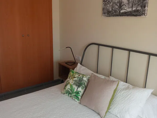 Dúplex en Calle de Beniarjó, 13, Platja de Oliva, Platja de Oliva - Foto 11