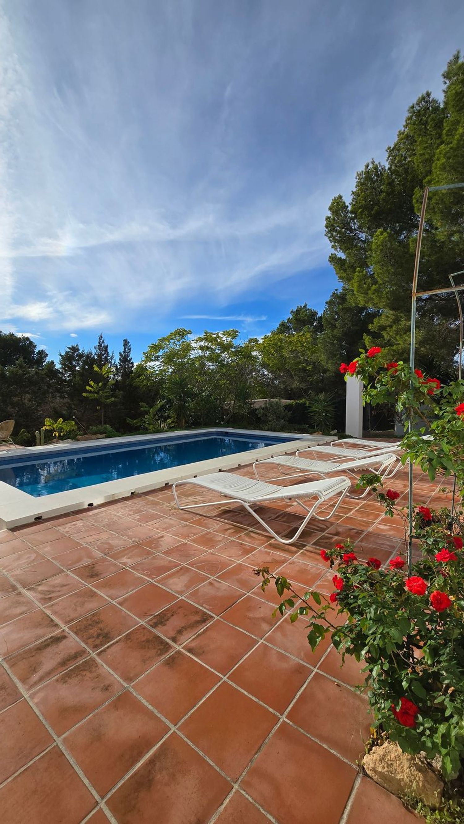 Casa o chalet independiente en Diseminado Can Tomas, 1611, Cala Vedella - Cala Tarida - Cala Conta, Cala Vedella - Cala Tarida - Cala Conta - Foto 8