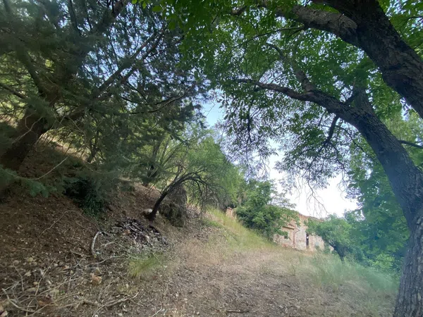 Finca rústica en Sn s/n - Foto 12