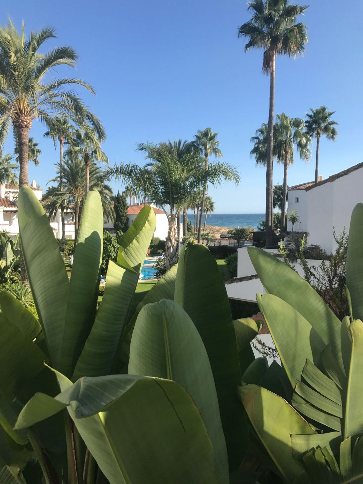 Chalet pareado en alameda de Levante, 2 Albatros - Foto 1