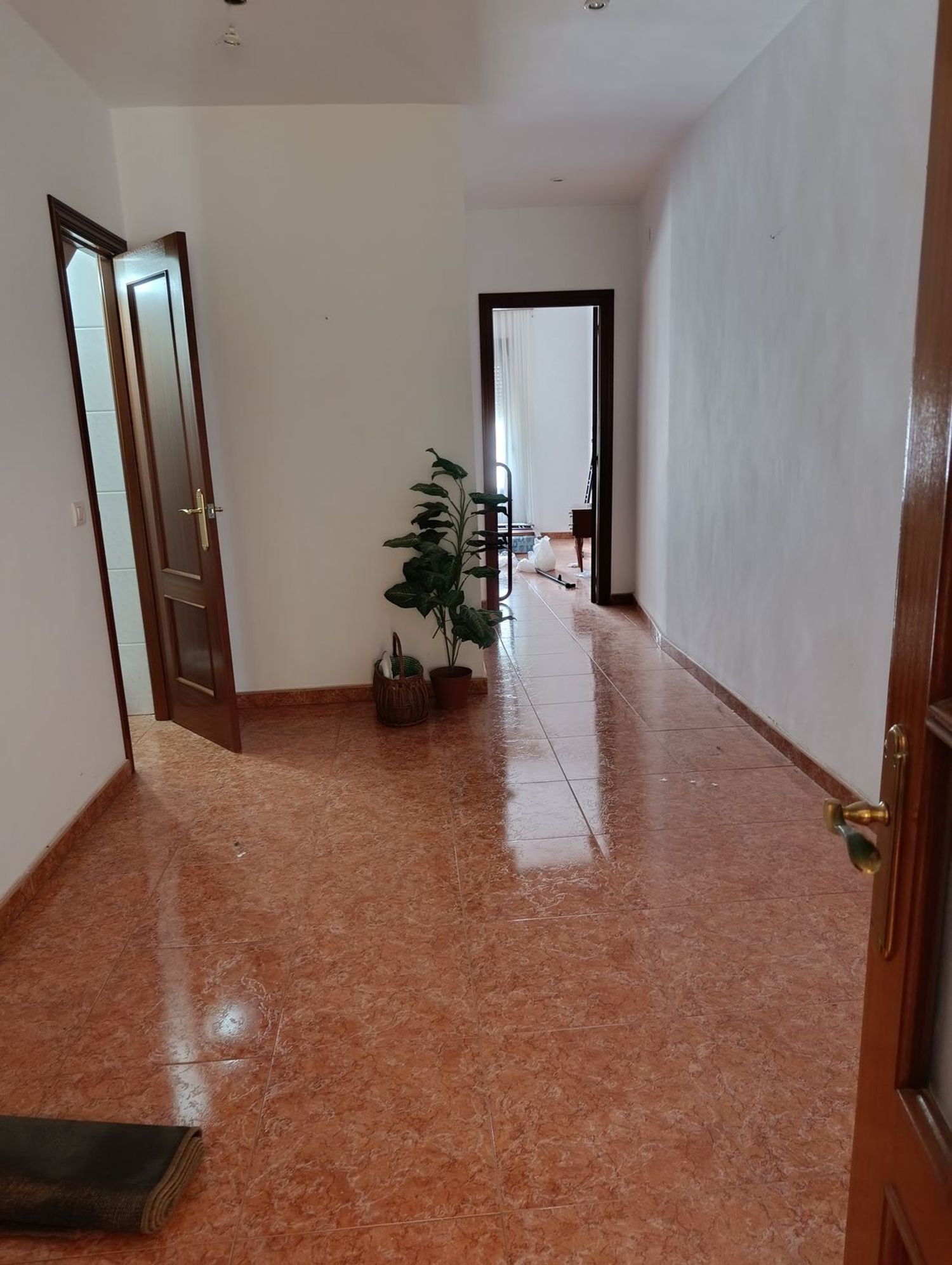 Casa o chalet independiente en Calle Isabel la Católica, 14 - Foto 19
