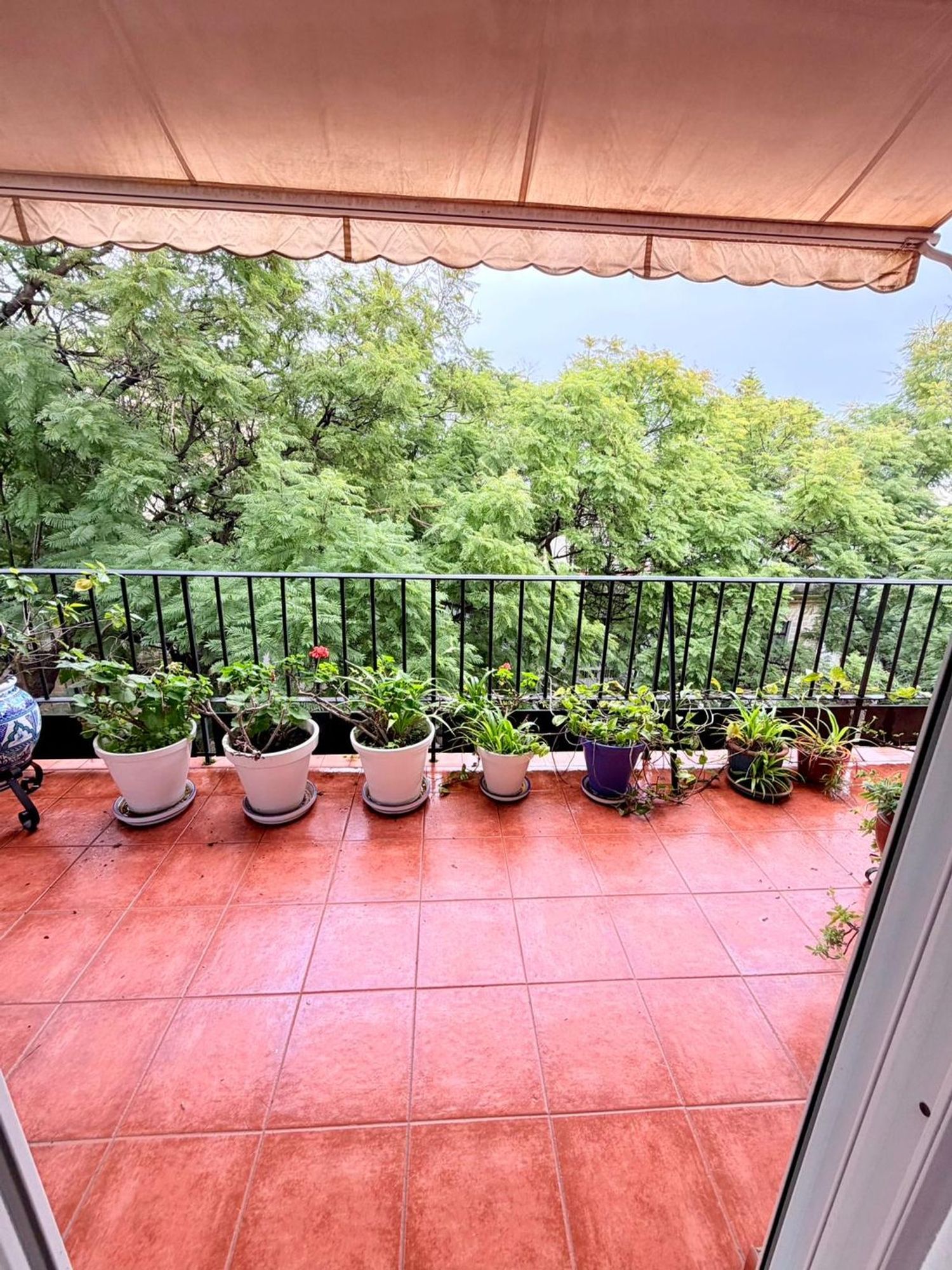 Piso en Barrio Centro - Foto 3