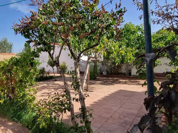 Chalet pareado en Prado de Somosaguas, Prado de Somosaguas - Foto 8