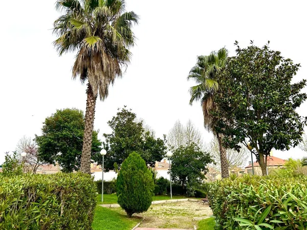 Piso en Calle Jacinto Benavente, 3, Sector b - Foto 30