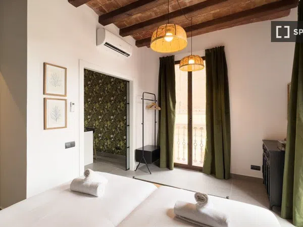 Estudio en Passatge de Mas de Roda, El Poblenou - Foto 18