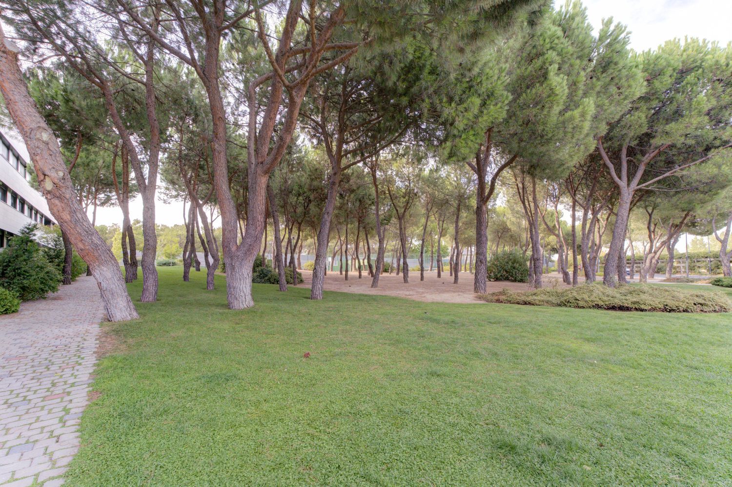 Piso en Los Satélites - Roza Martín, Los Satélites - Roza Martín - Foto 10