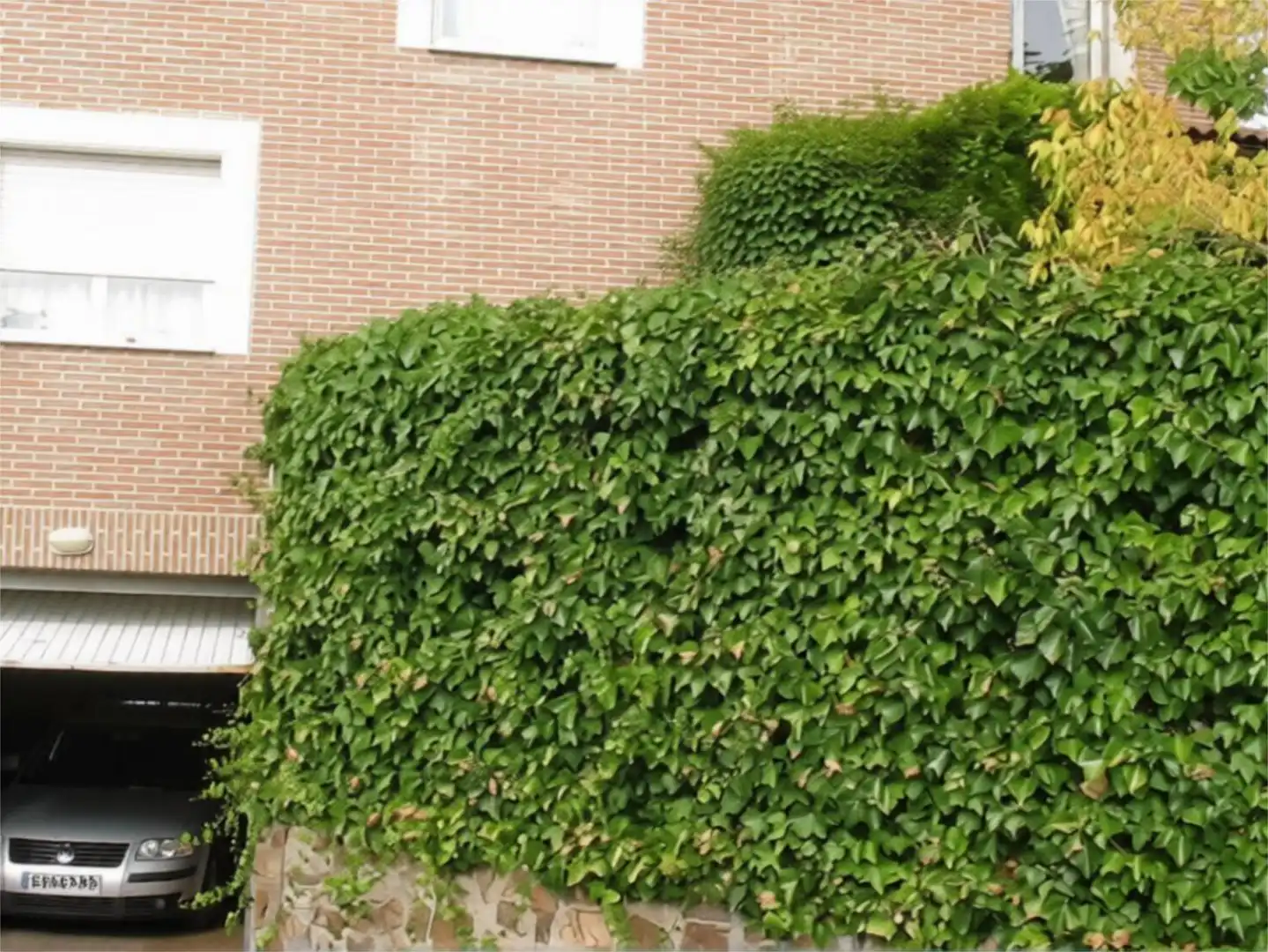 Piso en  Urbanización San Pedro de Alcántara 46 - Foto 35