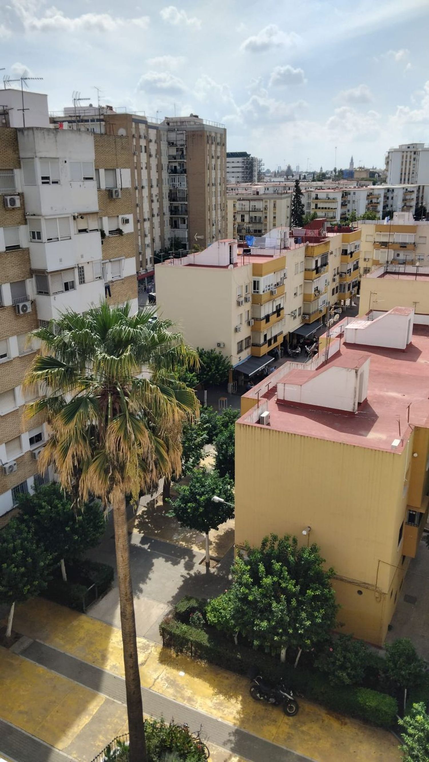 Piso en Calle Fausto, 4, Doctor Fedriani - Foto 14