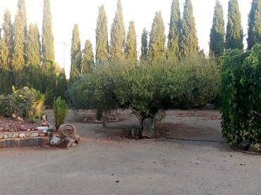 Finca rústica en  Calle Diseminados 1586 - Foto 4