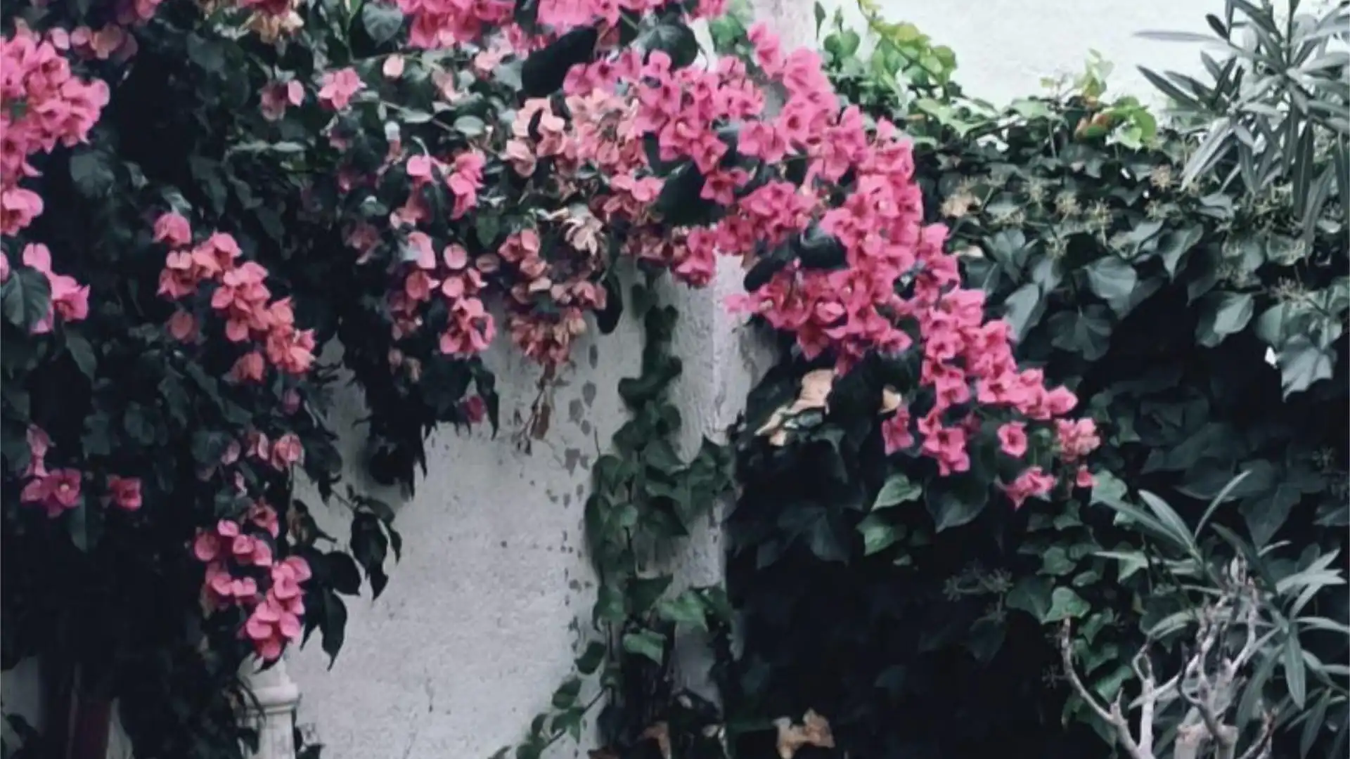 Casa adosada en  Calle Antonio Machado 35 - Foto 32