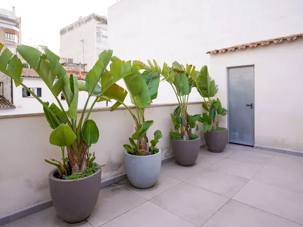 Piso en calle de Ticià, 17 - Foto 24