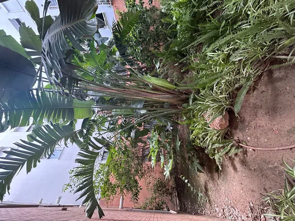 Piso en calle cardenal bueno monreal, 33 - Foto 5