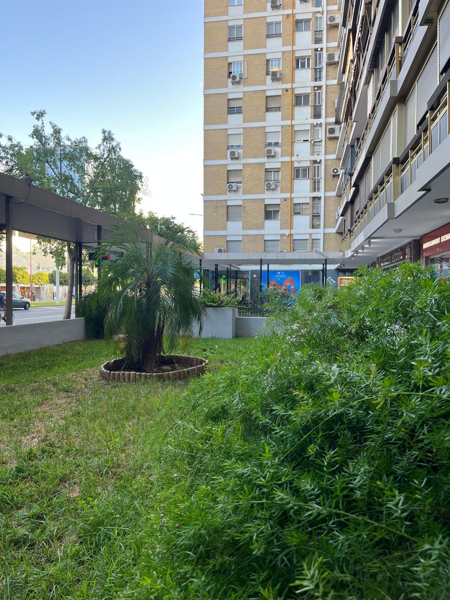 Piso en Calle Luis Montoto, 24, Luis Montoto - Santa Justa - Foto 5