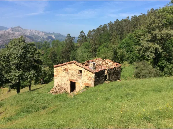 Finca rústica en Avenida Alisas, 5 - Foto 27