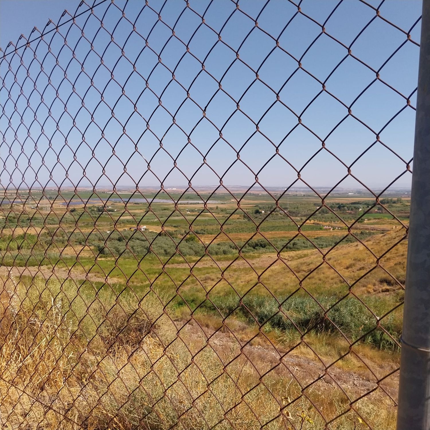 Finca rústica en Camino Cascajo s/n - Foto 6