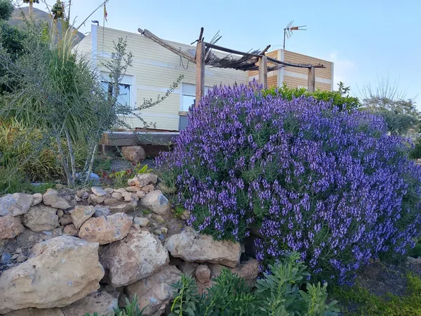Casa rural en Diseminado el Charcon, 1 - Foto 10