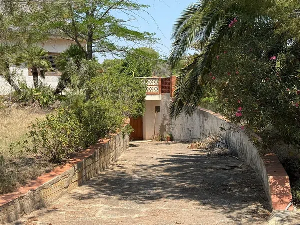 Casa o chalet independiente en Calle Venezuela, 2, Los Pinares-La Masía, Los Pinares-La Masía - Foto 15