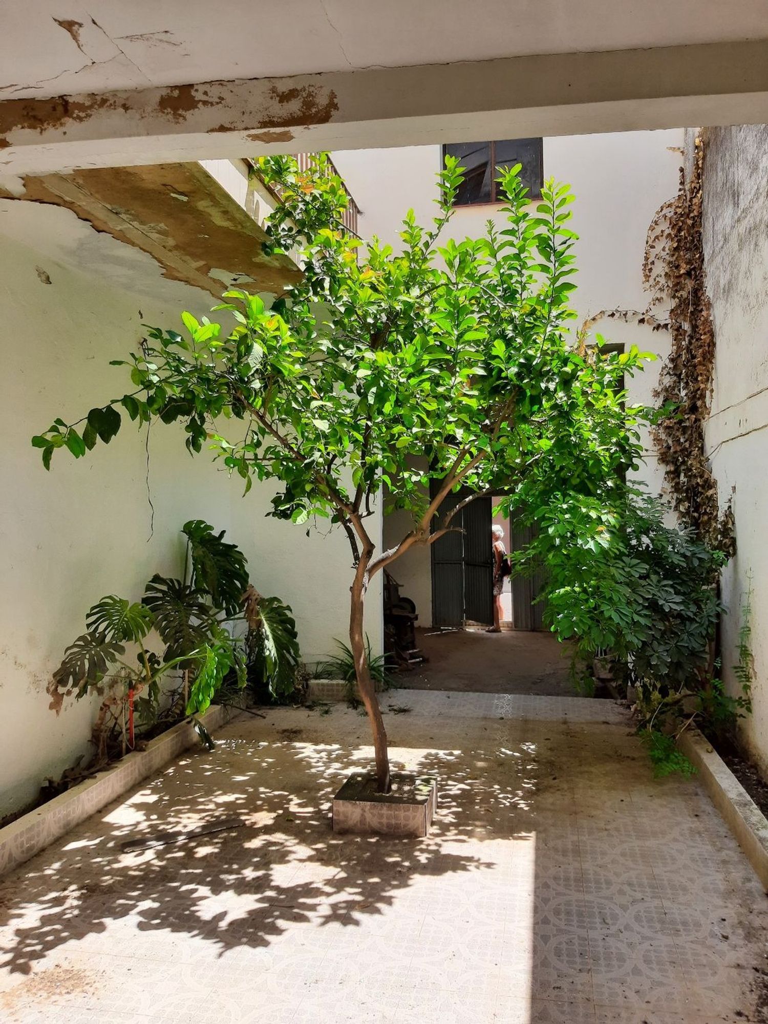 Casa o chalet independiente en Calle San Lázaro, 57 - Foto 4