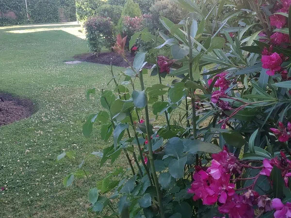 Piso en Golf - El Carralero - Foto 20