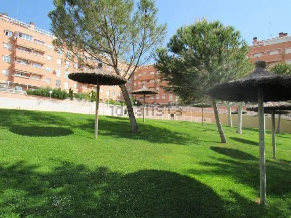 Piso en Calle de los Cedros, 67, Coimbra - Guadarrama, Coimbra - Guadarrama - Foto 12