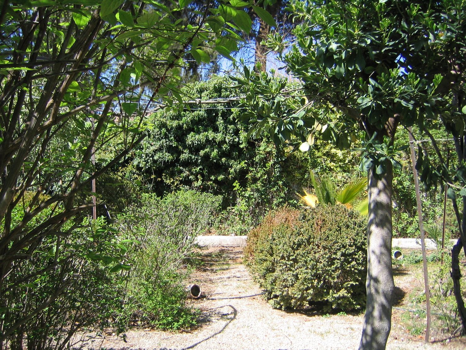 Casa de pueblo en Calle Cerrico de las Moyas, 34 - Foto 36