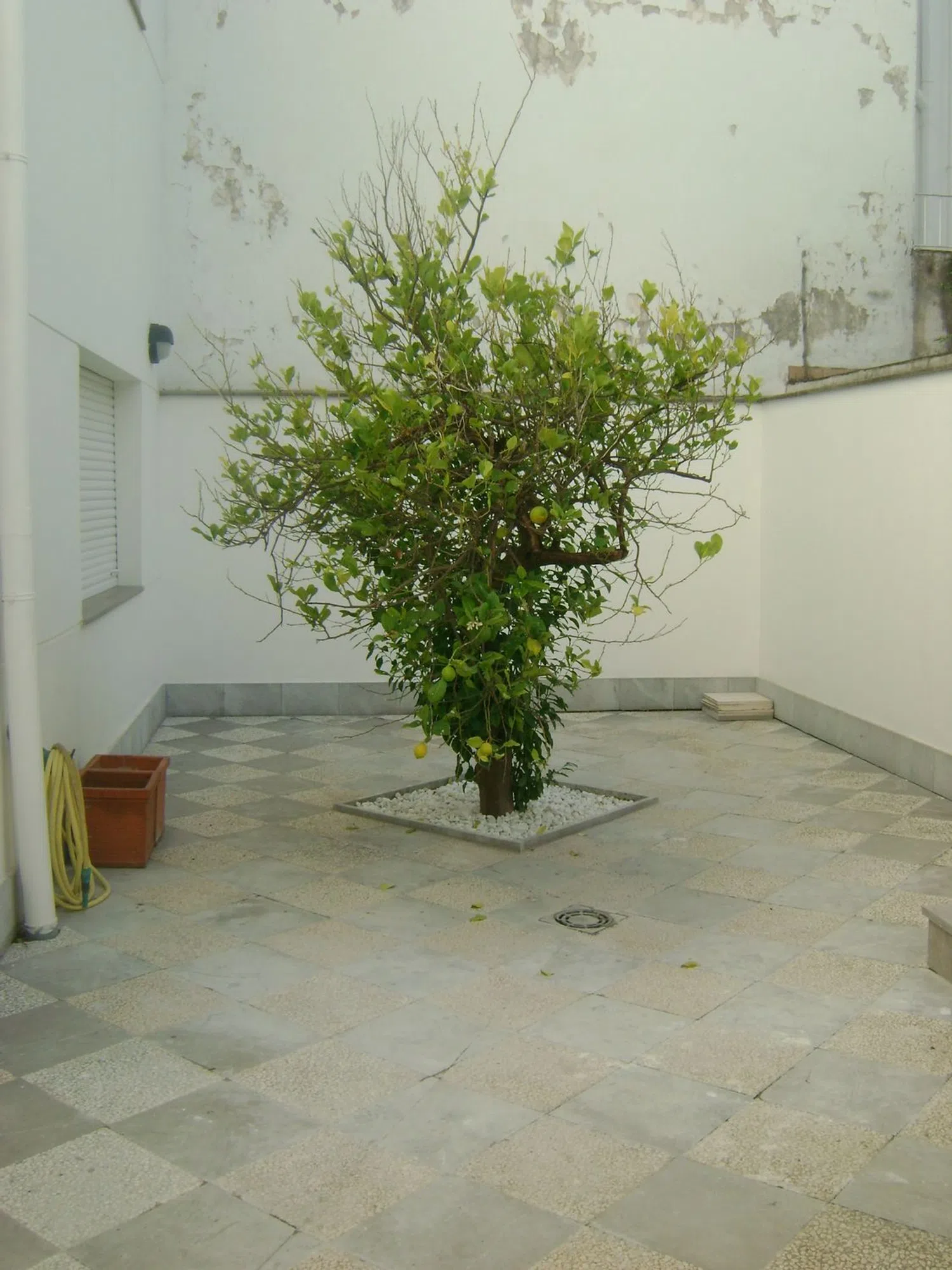 Estudio en calle Monte Carmelo, 37 - Foto 16