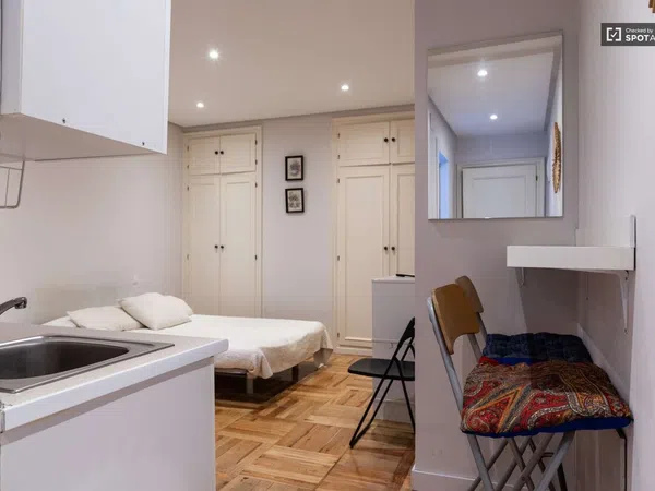 Estudio en Calle de Zurbano, Almagro - Foto 1
