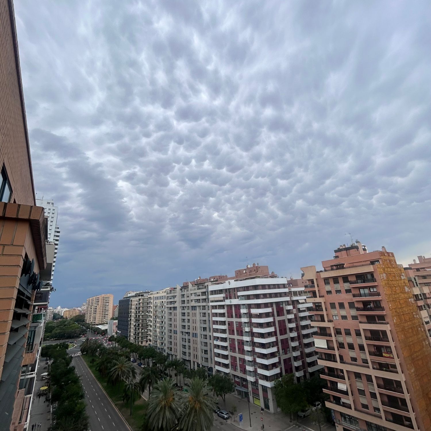 Piso en Avenida de França, 18, Penya-Roja - Foto 10