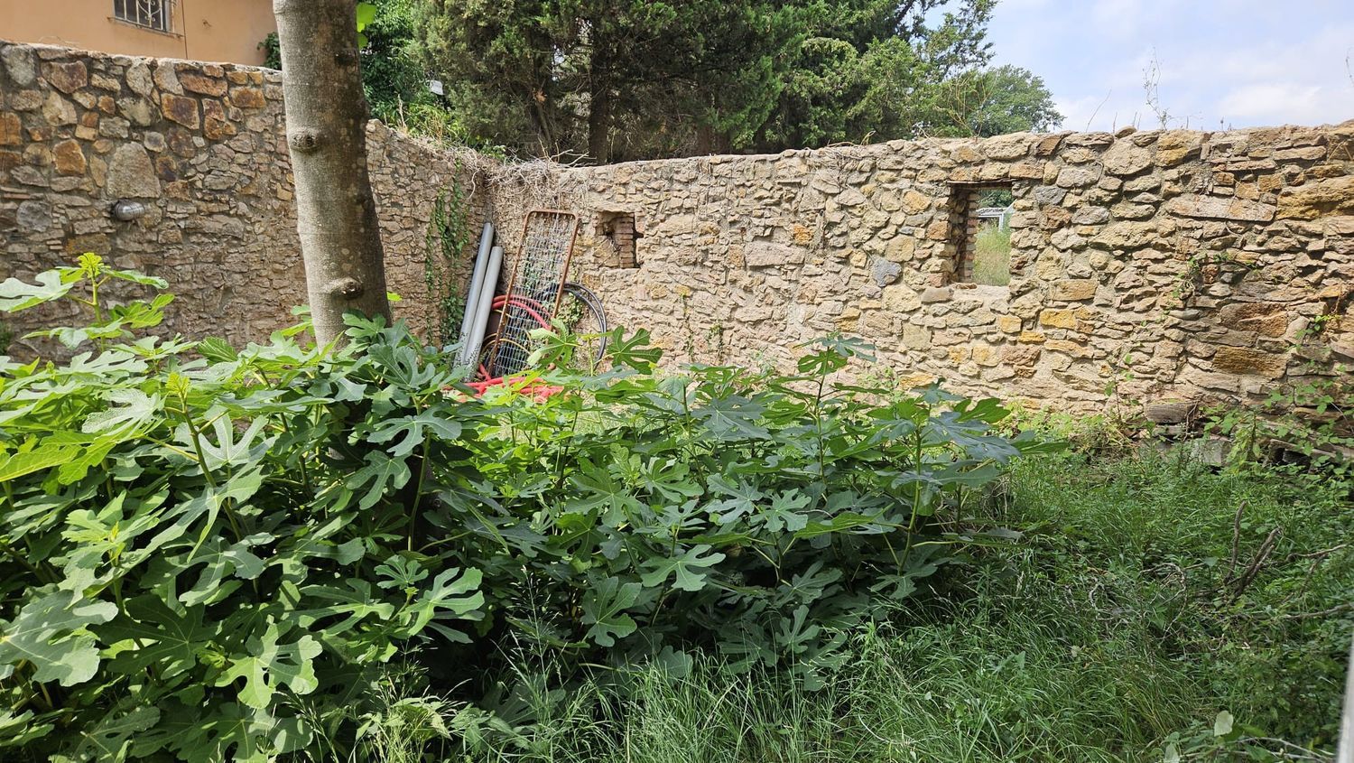 Finca rústica en C-66 s/n - Foto 5