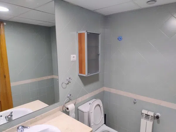 Piso en Camino Real, 24, Los Llanos - Valle Pardo, Los Llanos - Valle Pardo - Foto 12