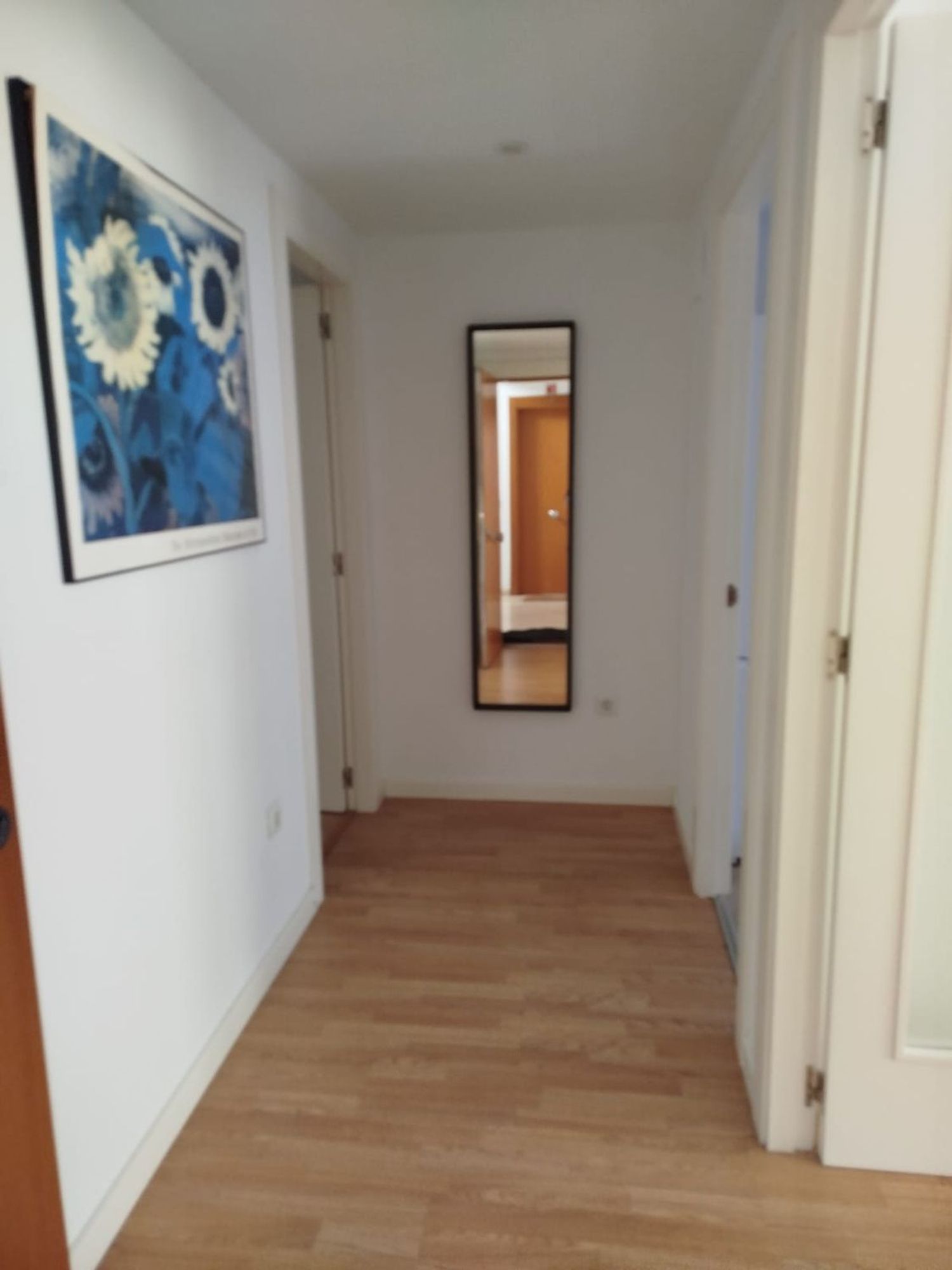 Piso en Calle de Jesús i Maria, 2, La Petxina - Foto 14