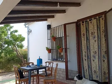 Finca rústica en  Calle de Antonio Machado 29 - Foto 2