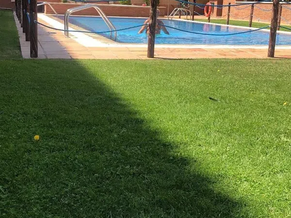 Piso en Avenida Solidaridad, 65, Residencia, Residencia - Foto 13
