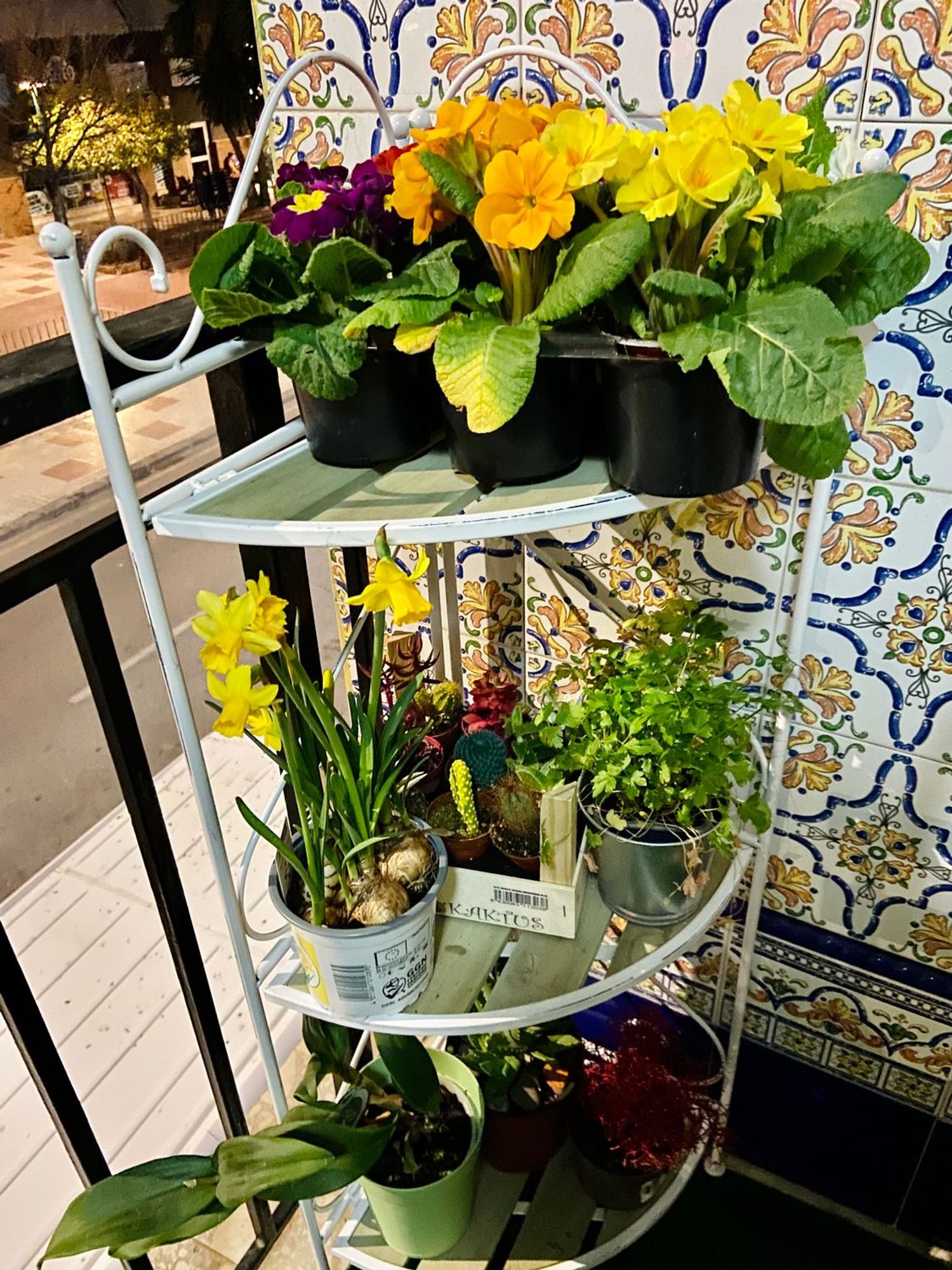 Piso en paseo de los Tilos, 57 - Foto 10