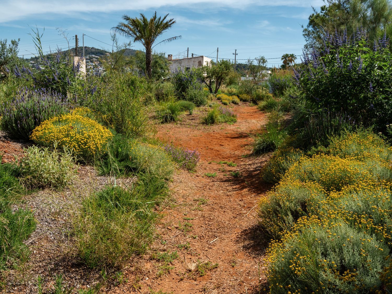 Casa rural en Camino ses Feixes, 46, Marina Botafoc - Talamanca, Marina Botafoc - Talamanca - Foto 40