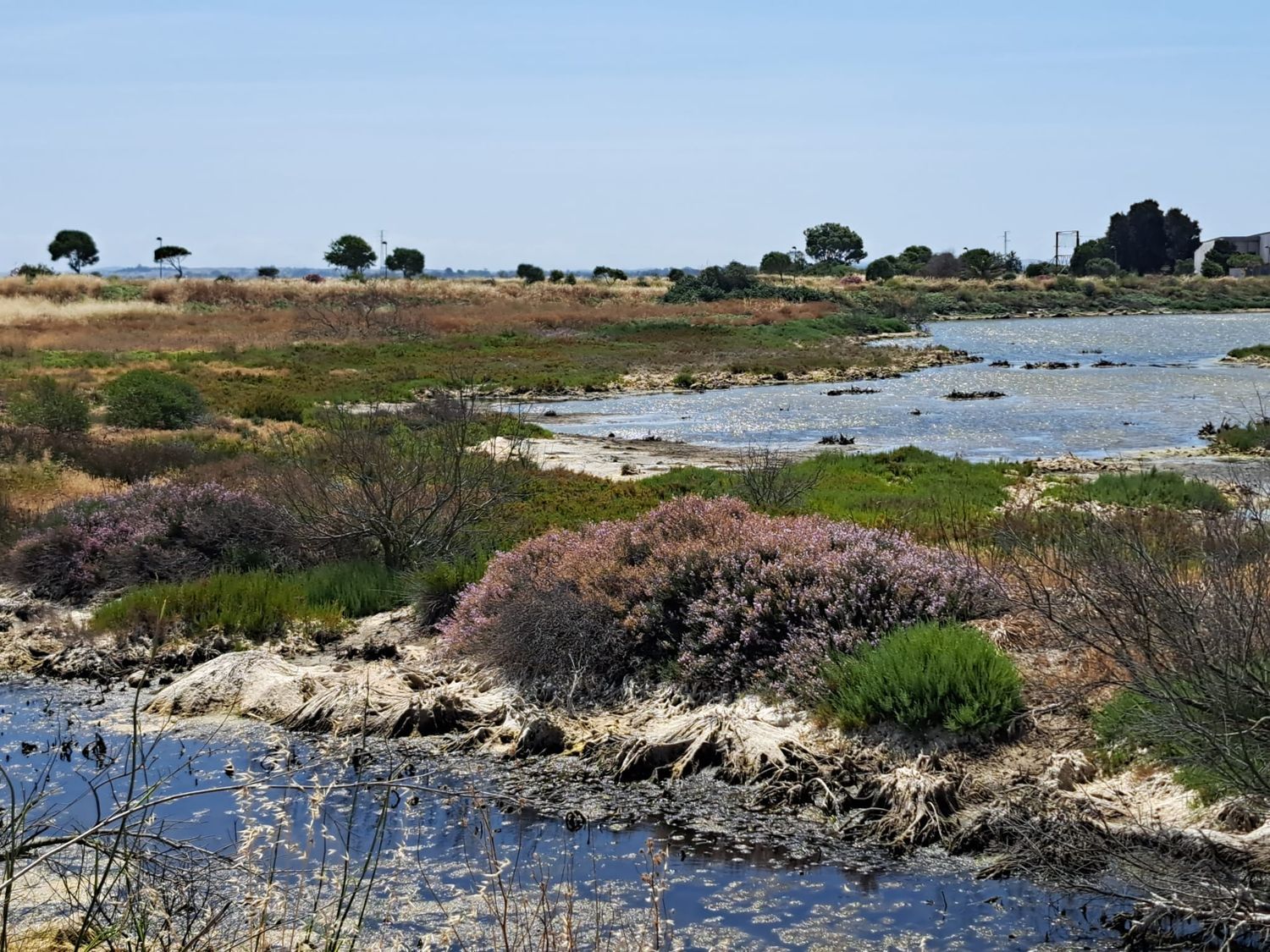Estudio en Ronda del Estero, 50, Ronda del estero - Foto 27