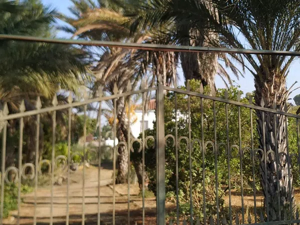 Finca rústica en Diseminados dirección a Puñanilla s/n - Foto 3