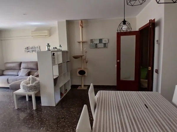 Piso en Carretera de Sant Climent, 85, La Roureda, La Roureda - Foto 30