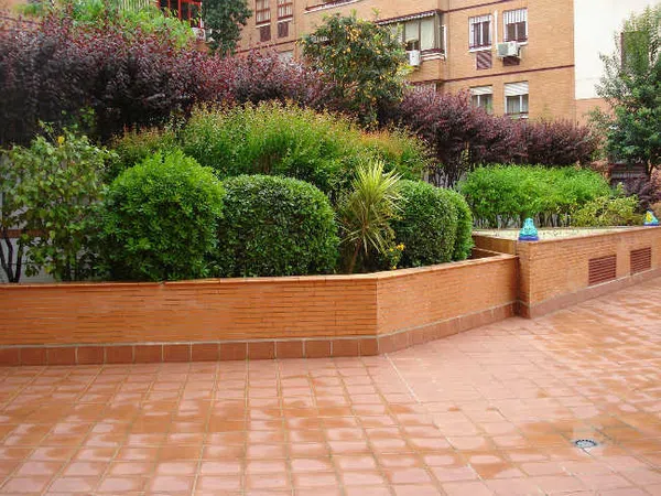 Estudio en Calle Doctor Relimpio, 6 - Foto 8