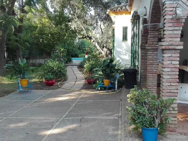 Finca rústica en Urb. Finca Atalaya Alta s/n s/n - Foto 14