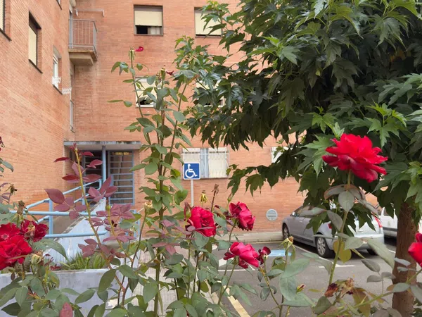 Piso en Barrio la Vega, 7, Ujo - Cenera, Ujo - Cenera - Foto 21