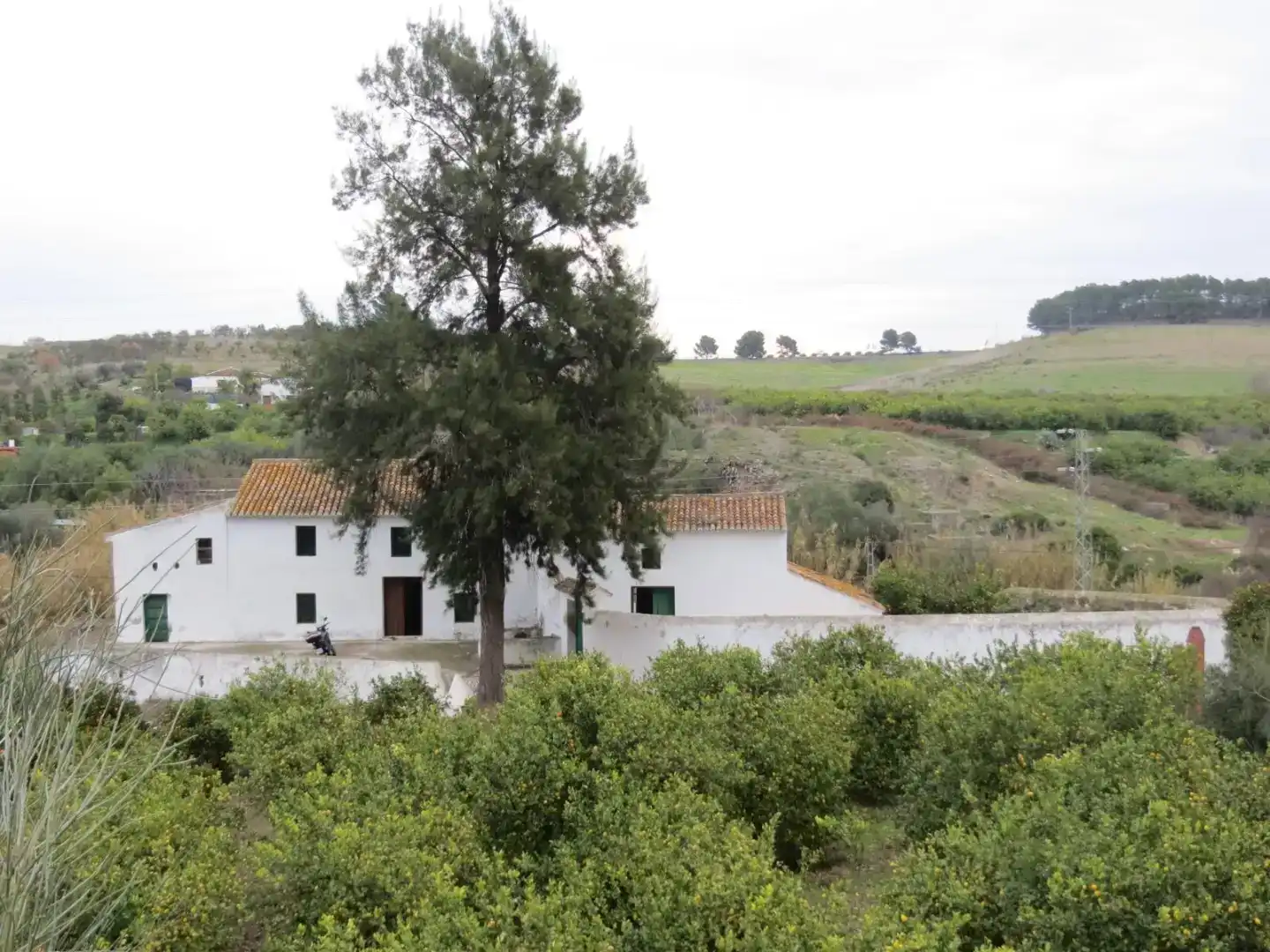Finca rústica en  Camino de Gibralgalia 1 - Foto 9