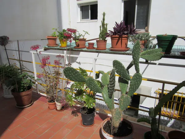 Estudio en Victoria Eugenia, Victoria Eugenia - Foto 6