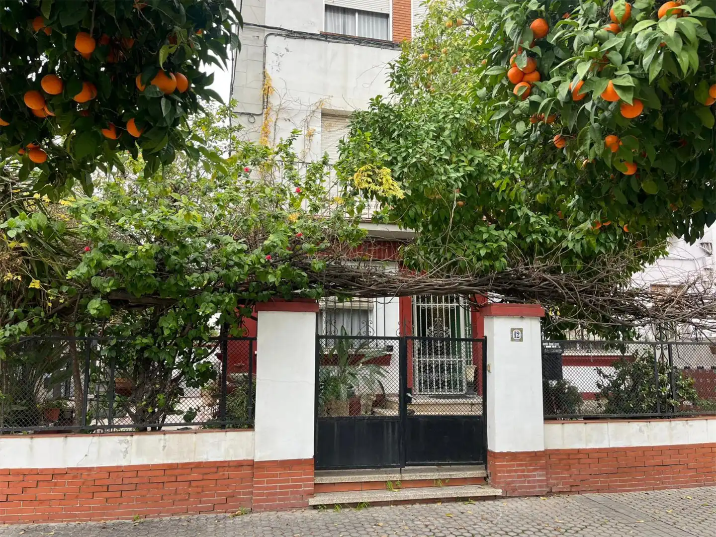 Planta baja en  Calle Manuel Ramón Alarcón 23 - Foto 3