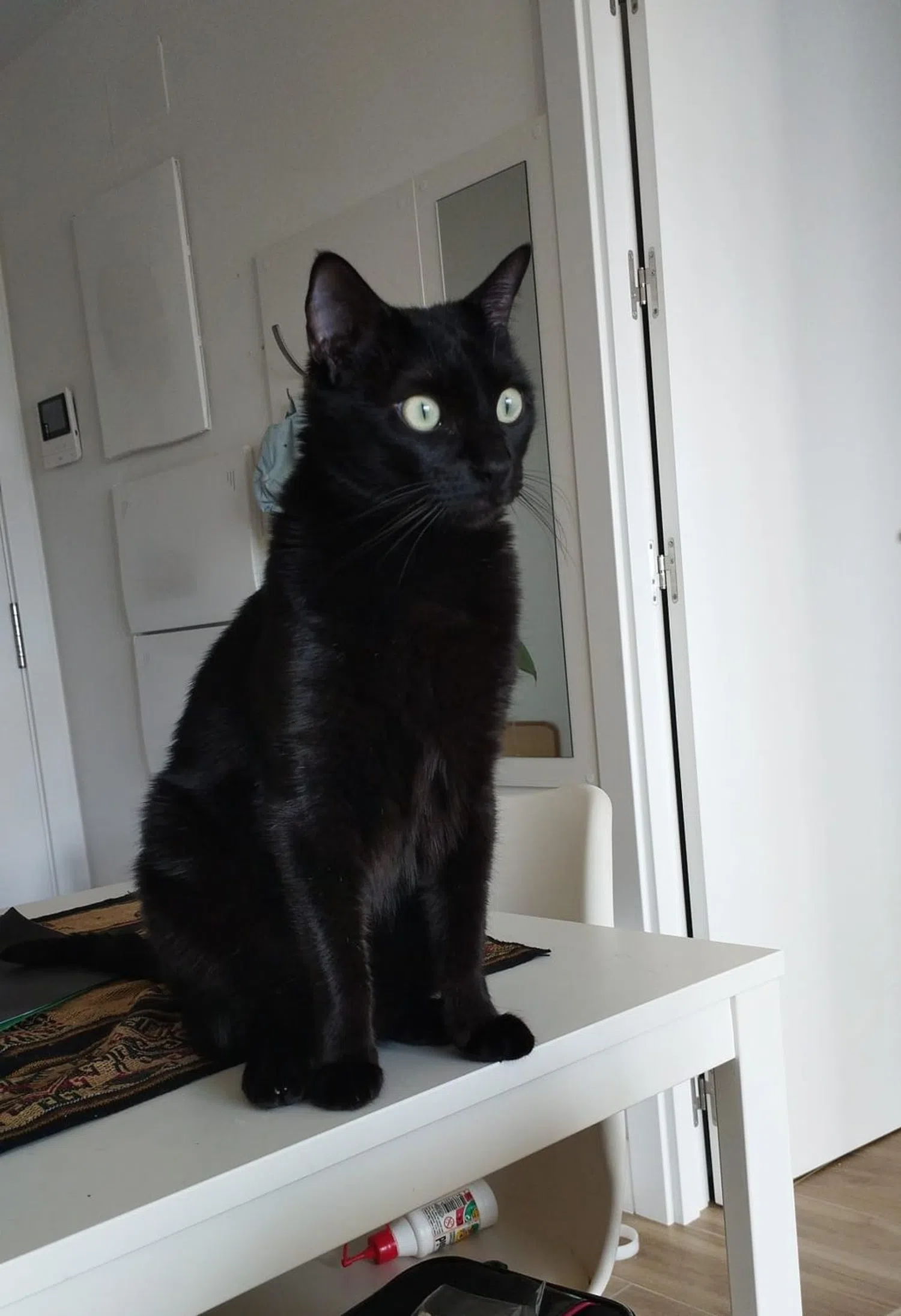 Estudio en calle José María Lozano Sainz, 65 - Foto 4