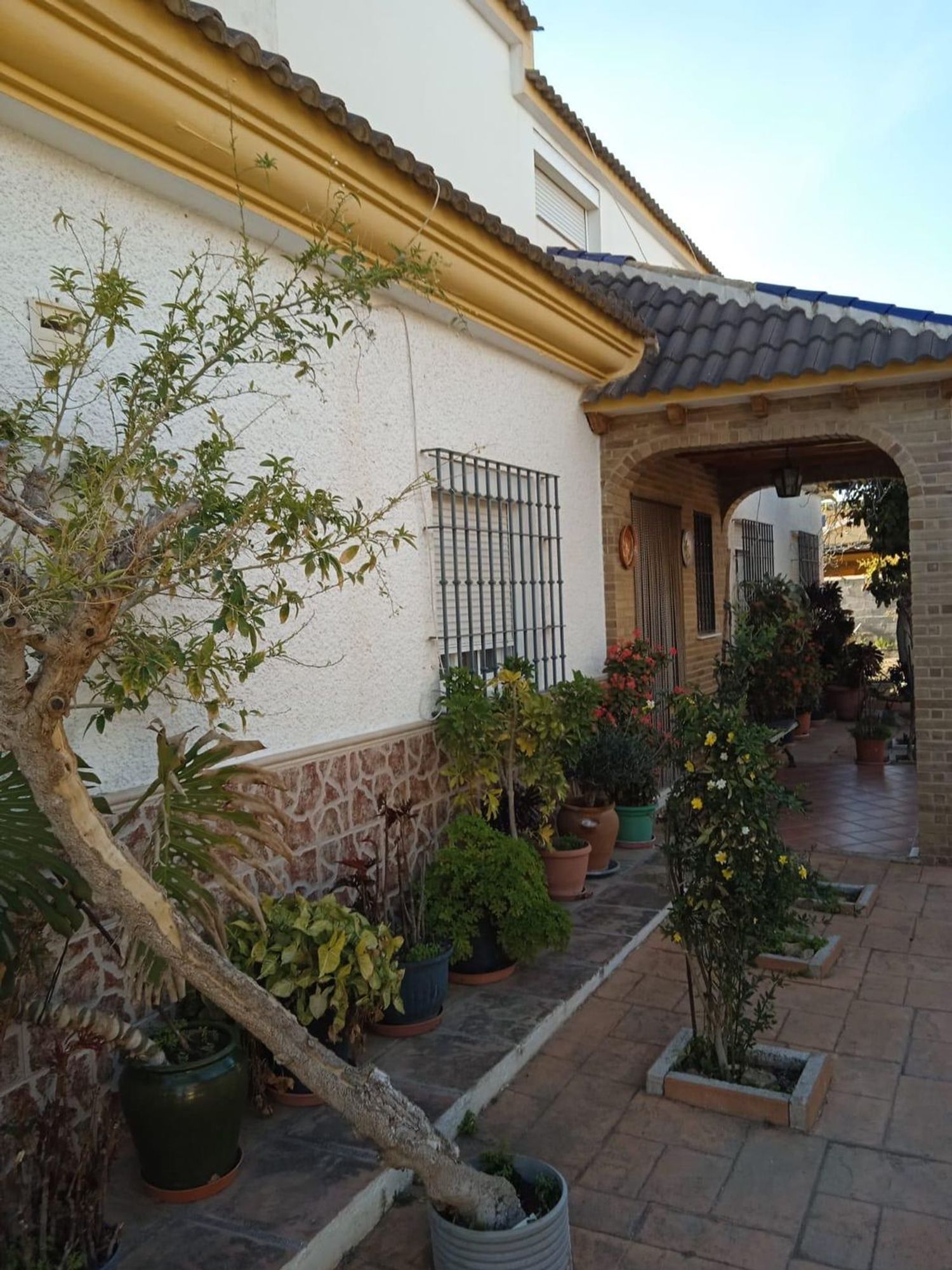 Finca rústica en Calle Sócrates, 56 - Foto 11