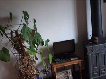 Apartamento en Paseo Estrada - Foto 5